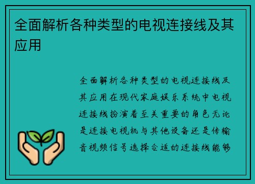 全面解析各种类型的电视连接线及其应用